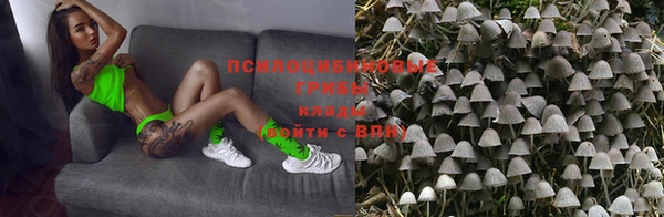 ALPHA PVP Алексин